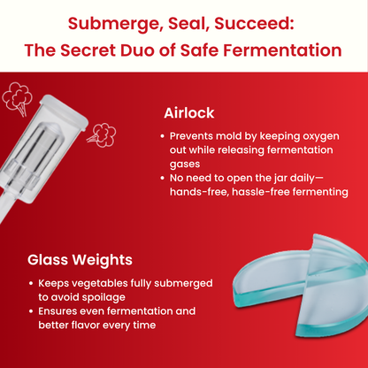 Kimchi Making Kit