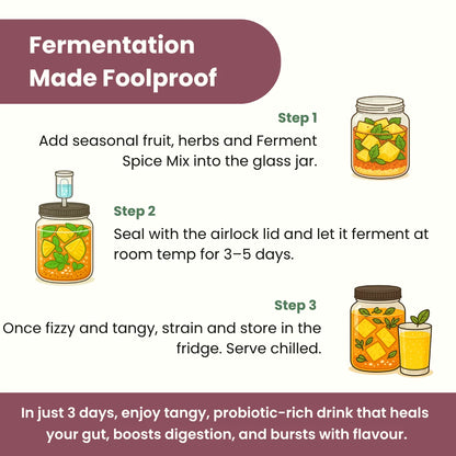 Probiotic Drinks Making Kit