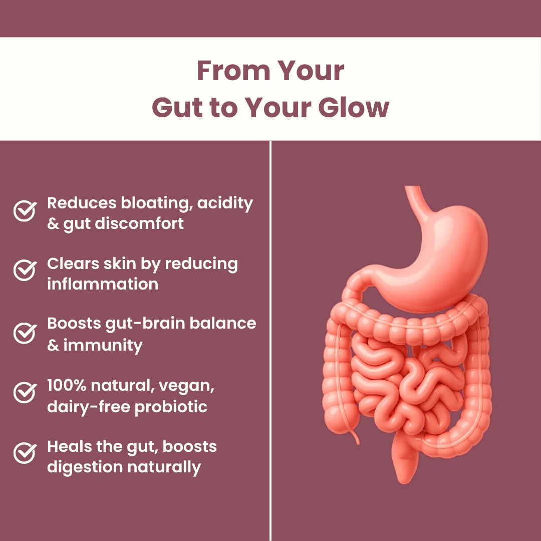 Probiotic Drinks Making Kit