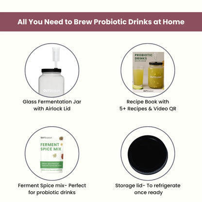 Probiotic Drinks Making Kit
