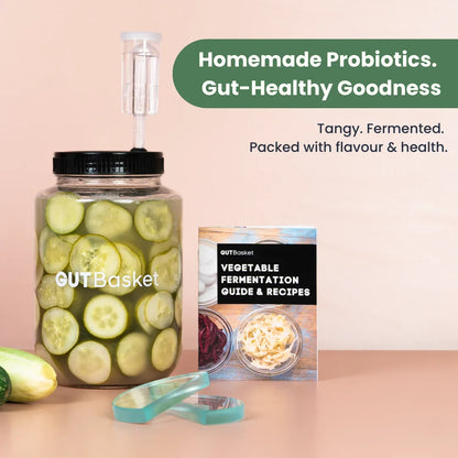 Vegetable Fermentation Kit