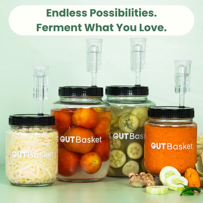 Vegetable Fermentation Kit
